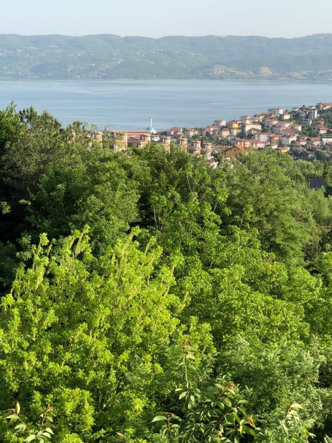 Dag Evi ,2 Oda, Lake View, Fireplace Jakuzi,6 Person Sapanca Exteriér fotografie